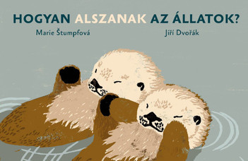 Hogyan alszanak az állatok?